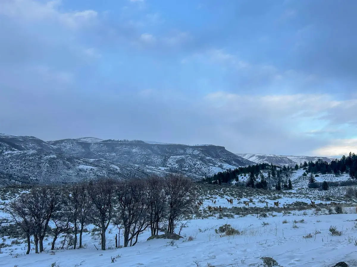 TBD Highway 50, Gunnison, CO 81230 - #1