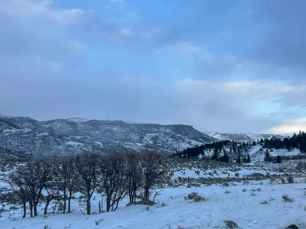 TBD Highway 50, Gunnison, CO 81230