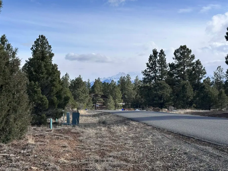 1960 Marmot Drive #563, Ridgway, CO 81432 - #2