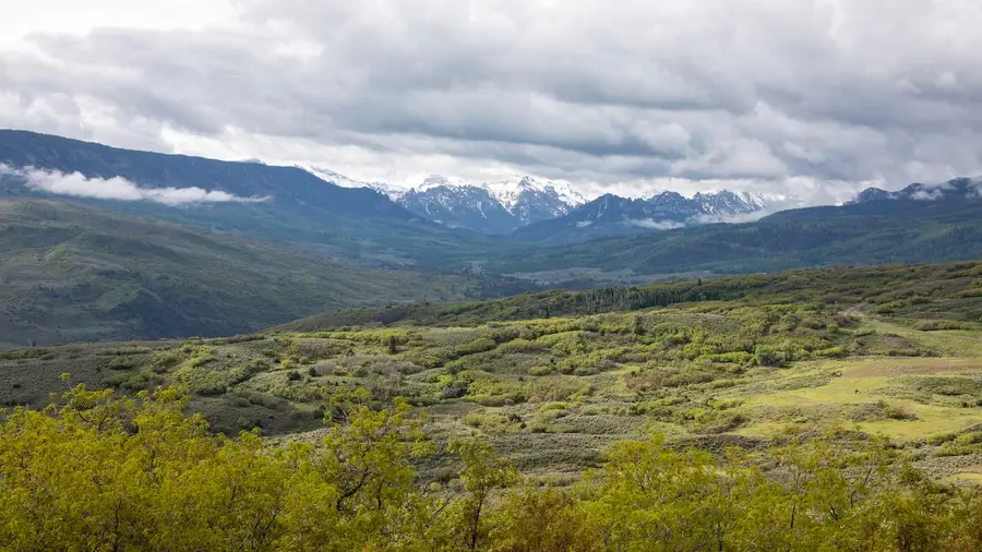 22000 P 77 Road, Cimarron, CO 81220 - #2