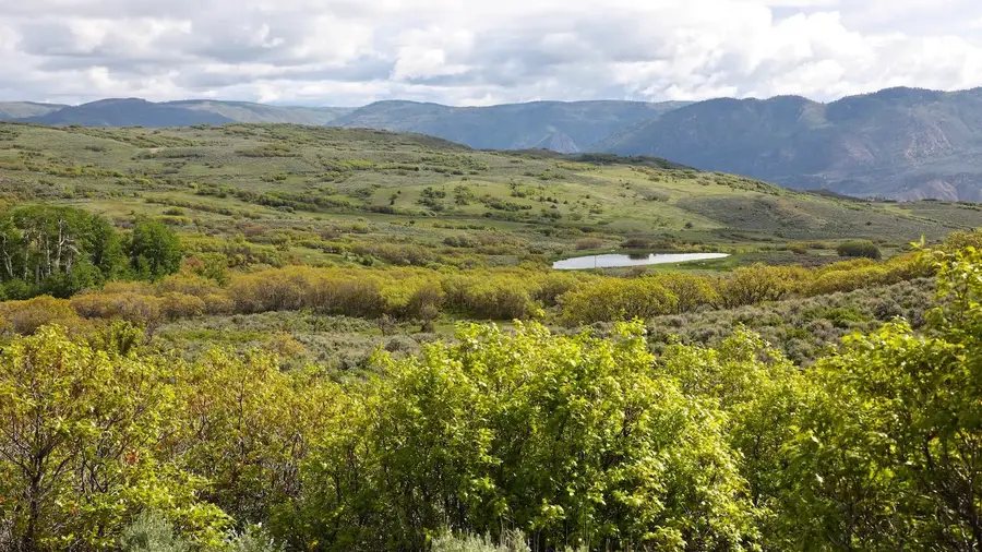 22000 P 77 Road, Cimarron, CO 81220 - #3