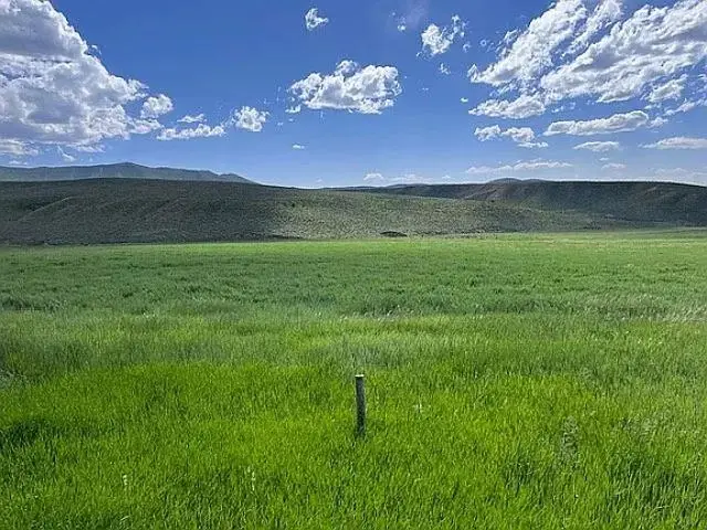 3719 County Road 45, Hamilton, CO 81638 - #2