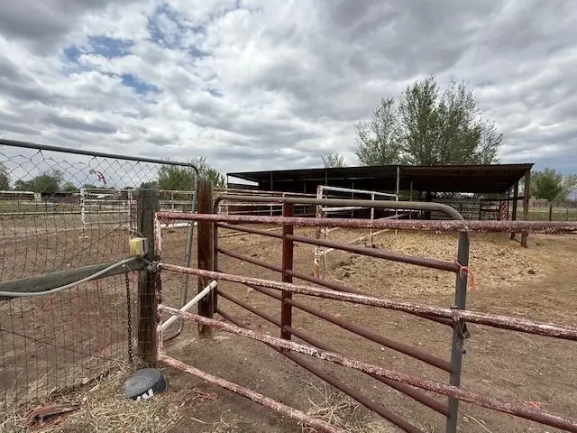 851 21 Road, Fruita, CO 81521 - #3