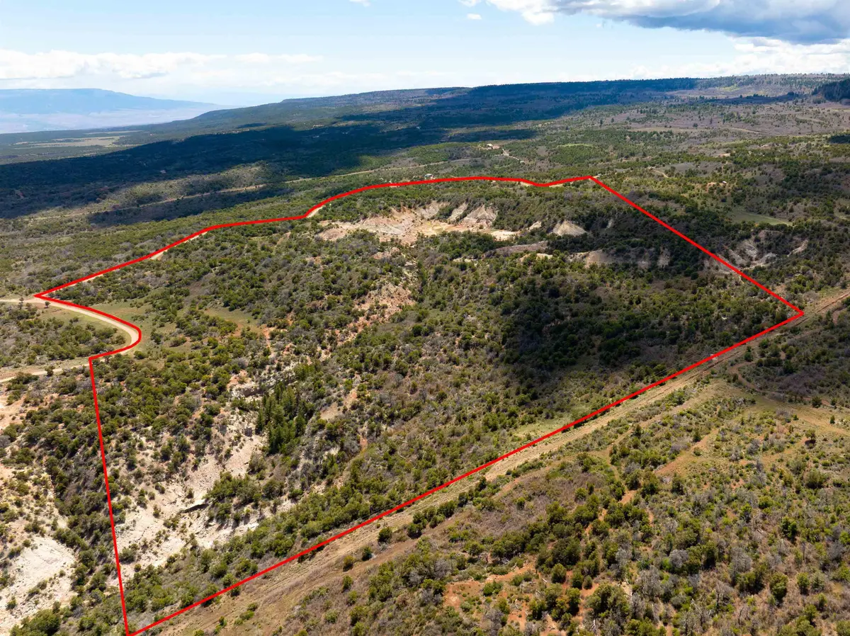 LOTS 4,5,& 6 Elk Ranch Road, Glade Park, CO 81523 - #1