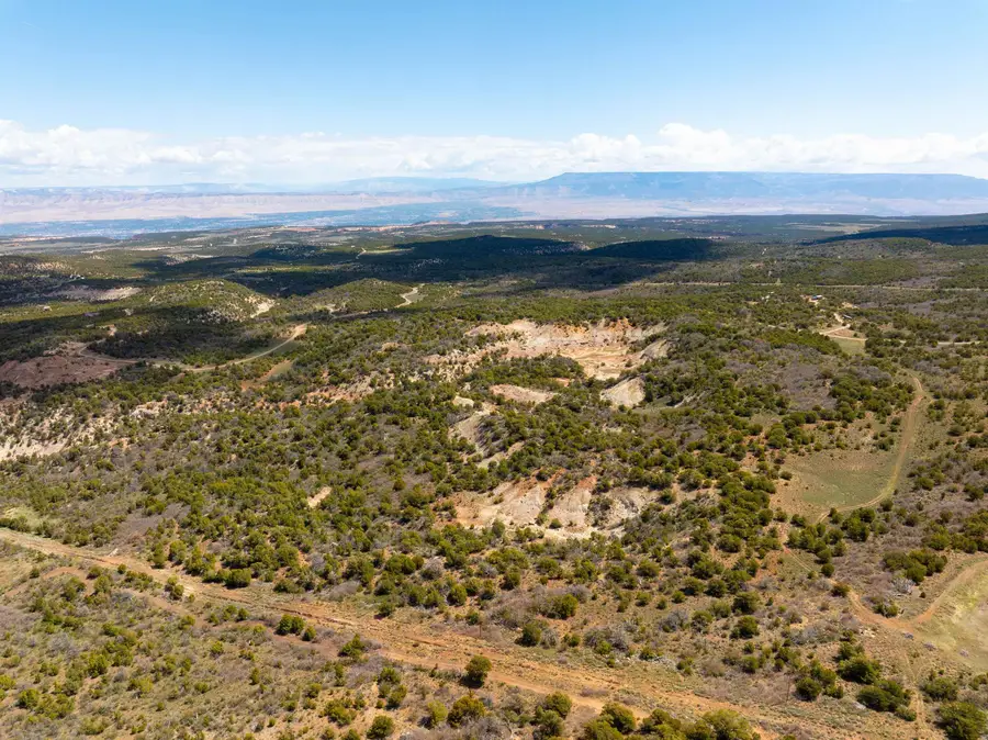 LOTS 4,5,& 6 Elk Ranch Road, Glade Park, CO 81523 - #2