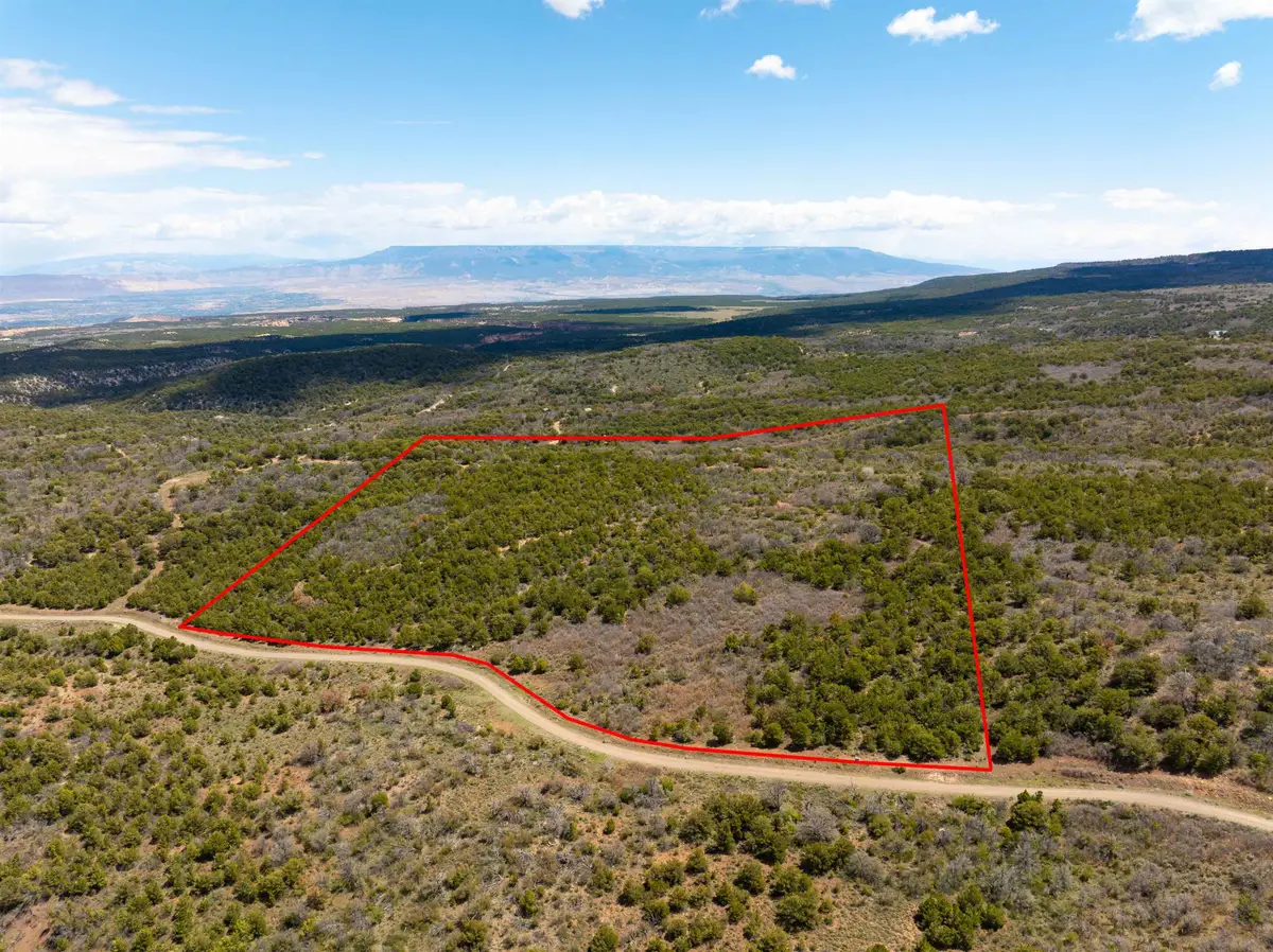 Lot 16 Elk Reserve Road, Glade Park, CO 81523 - #1