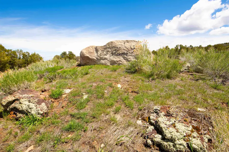 Lot 16 Elk Reserve Road, Glade Park, CO 81523 - #2