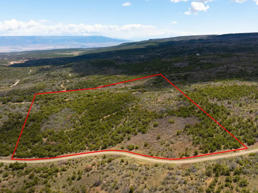Lot 16 Elk Reserve Road, Glade Park, CO 81523 - #3