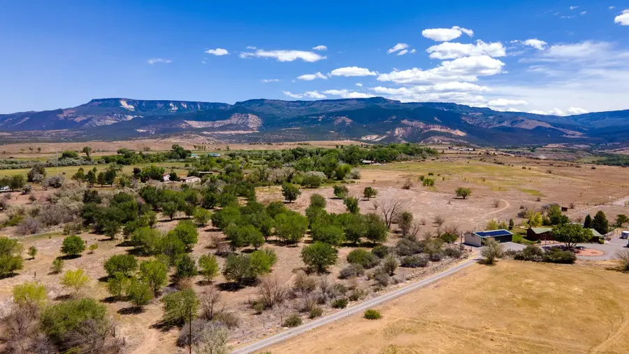 3003 Purdy Mesa Road, Whitewater, CO 81527 - #3