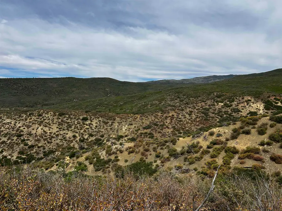 000 Currant Creek Road, Cedaredge, CO 81413 - #2