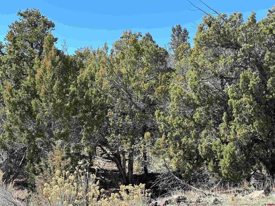 38.06 Tbd, Crawford, CO 81415 - #2