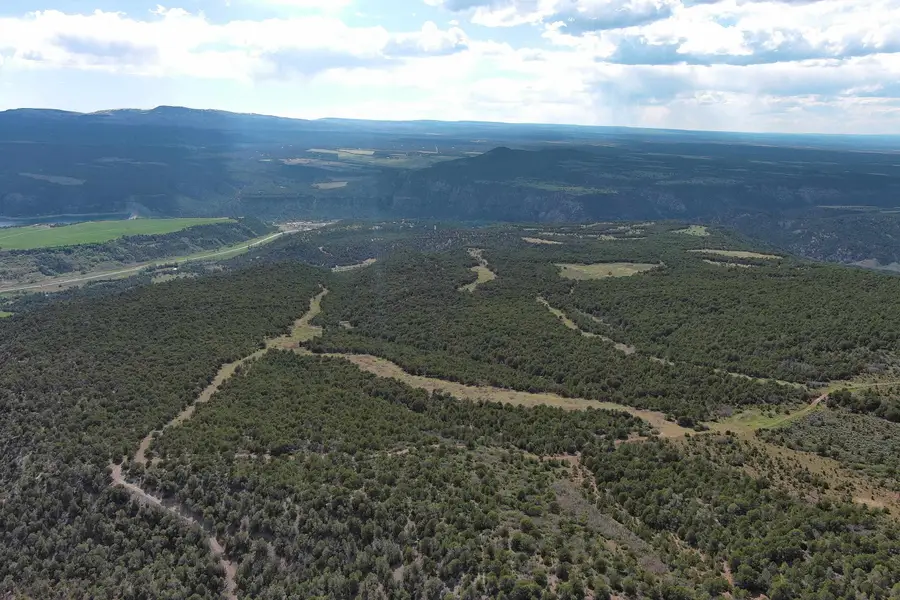 TBD County Road 4, Ridgway, CO 81432 - #2