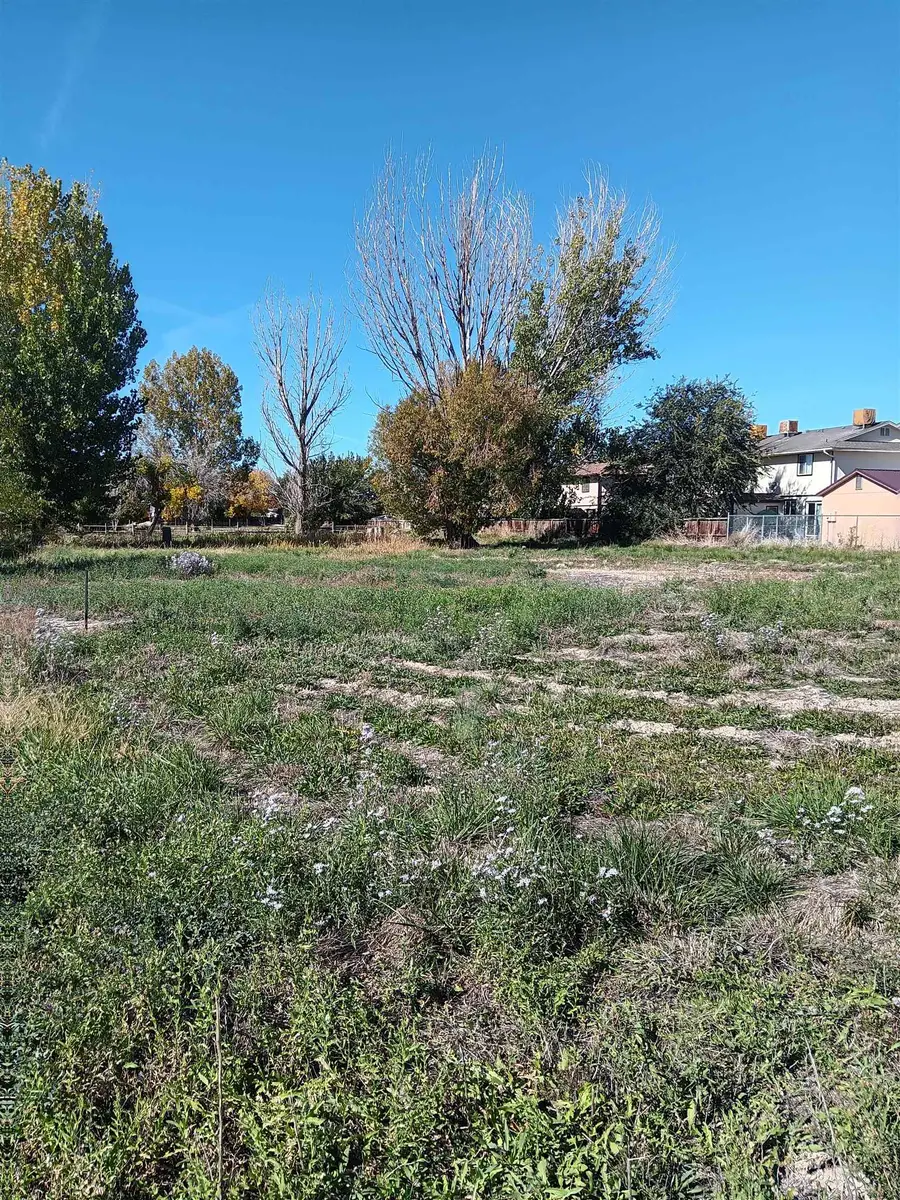 TBD 32 Road, Clifton, CO 81520 - #2