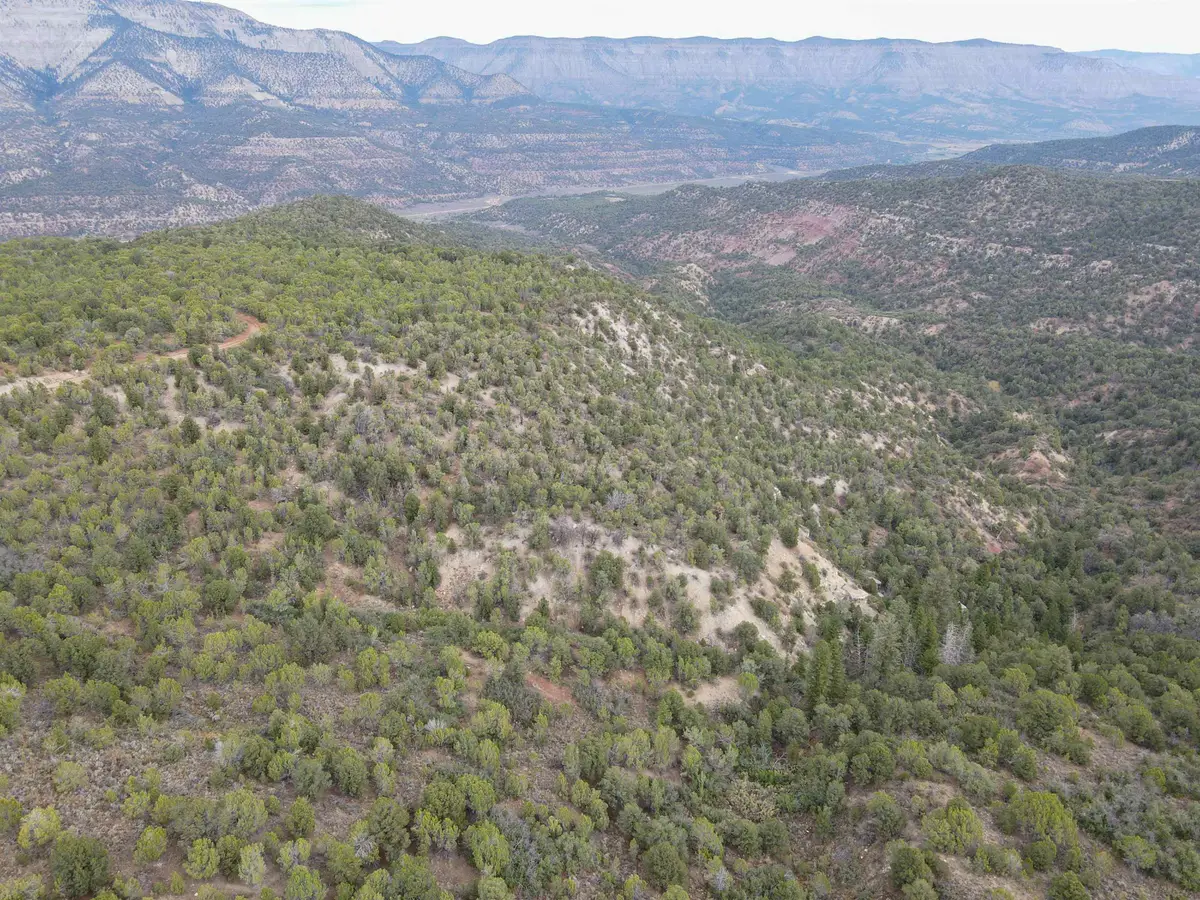 000 X 1/2 Road, De Beque, CO 81630 - #1