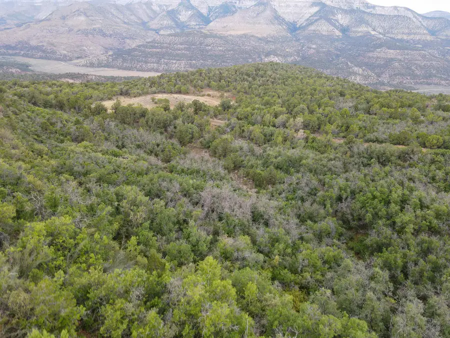 000 X 1/2 Road, De Beque, CO 81630 - #2