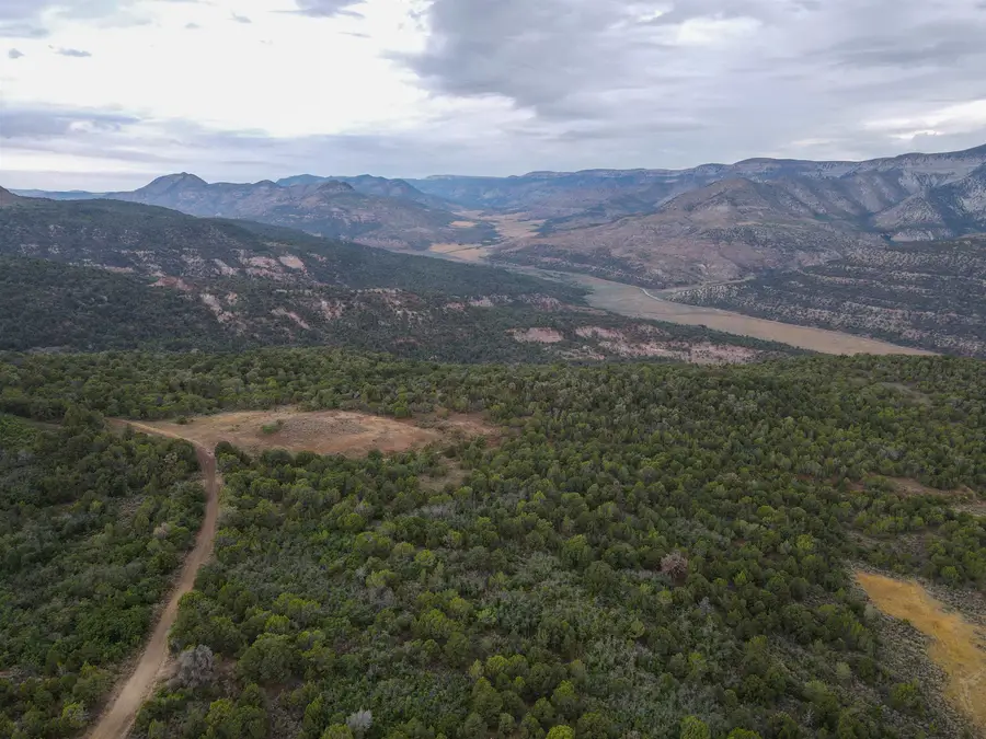 000 X 1/2 Road, De Beque, CO 81630 - #3