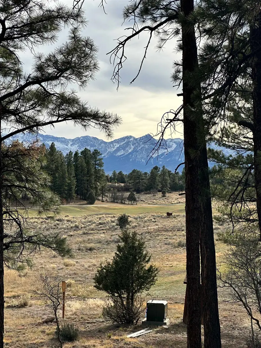 46 Marmot Drive, Ridgway, CO 81432 - #3