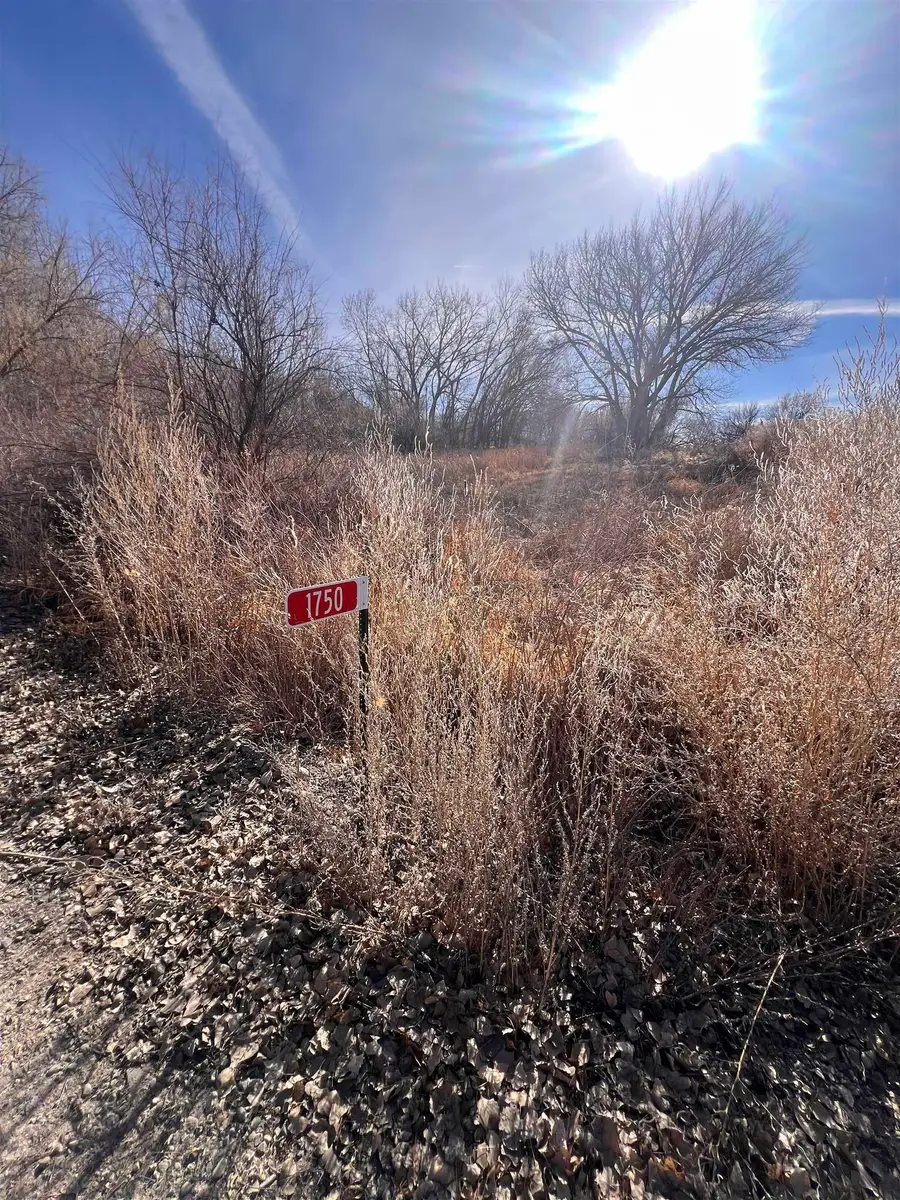 1750 F 50 Road, Delta, CO 81416 - #2