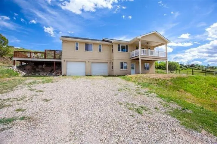 900 Thistle Court, Collbran, CO 81624 - #1