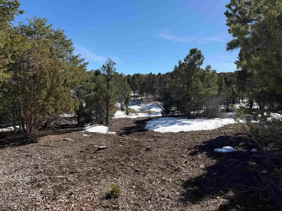 TBD Pine Drive #38, Ridgway, CO 81432 - #2