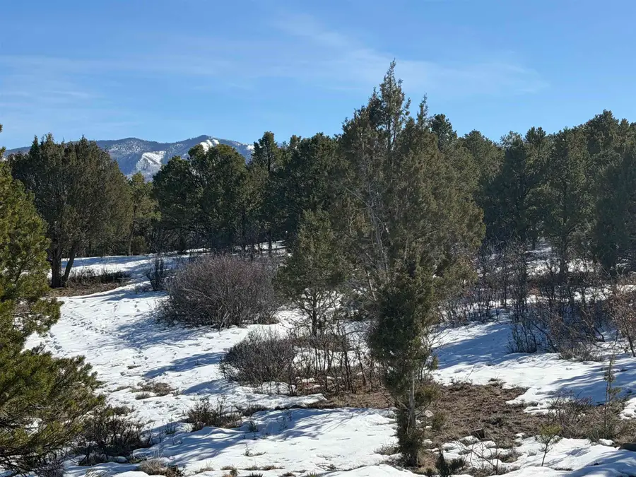 TBD Pine Drive #38, Ridgway, CO 81432 - #3