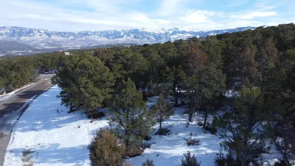 30 Pinon Road West, Ridgway, CO 81432