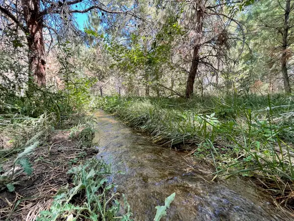 TBD D Road, Palisade, CO 81526