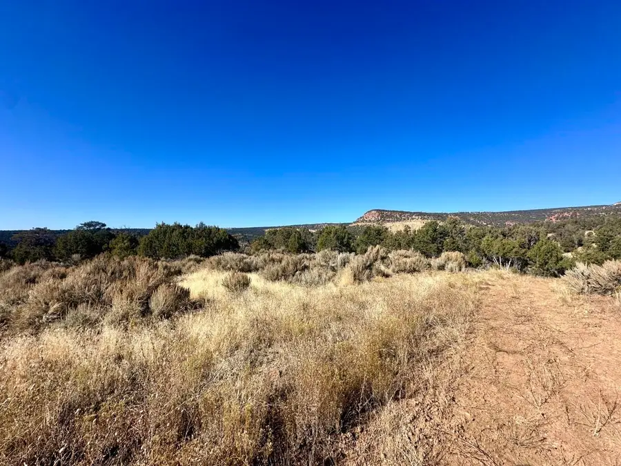 TBD Cactus Park Road, Cedaredge, CO 81413 - #2