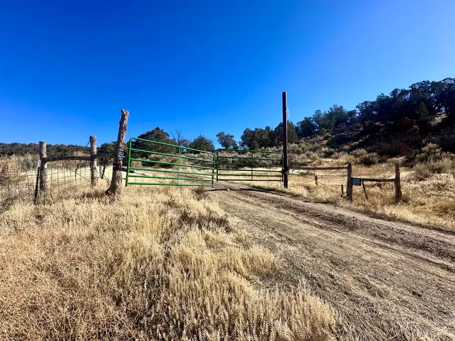 TBD Cactus Park Road, Cedaredge, CO 81413 - #3
