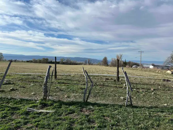 TBD 2900 Road, Hotchkiss, CO 81419