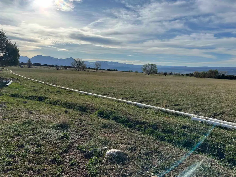 TBD 2900 Road, Hotchkiss, CO 81419 - #3