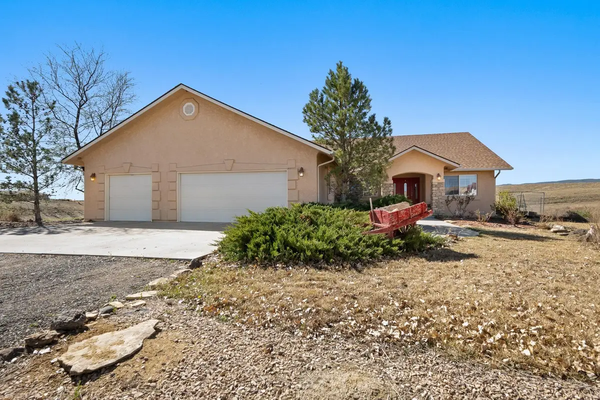 32001 Stone Tree Lane, Whitewater, CO 81527 - #1