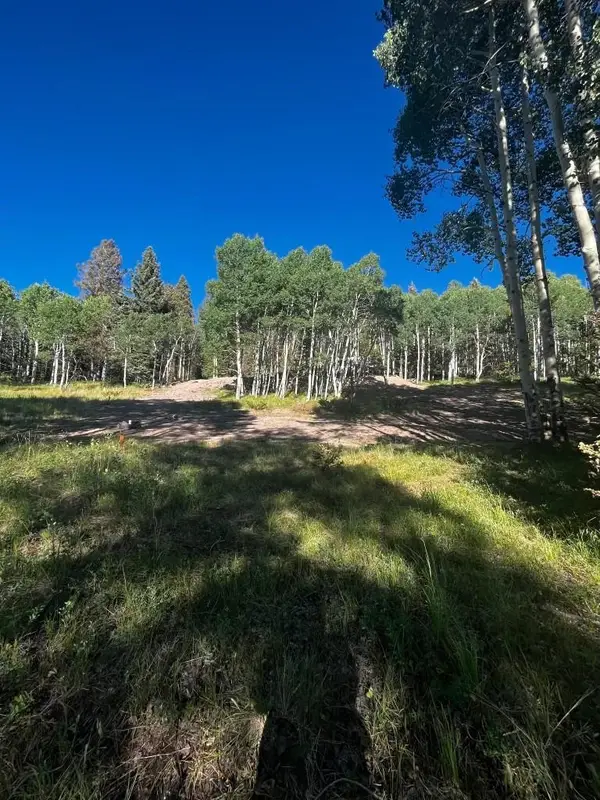 1255 Spruce Road, Cimarron, CO 81220