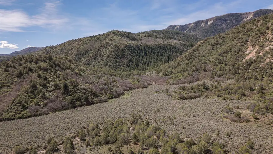 11799 Highway 13, Rifle, CO 81650 - #3