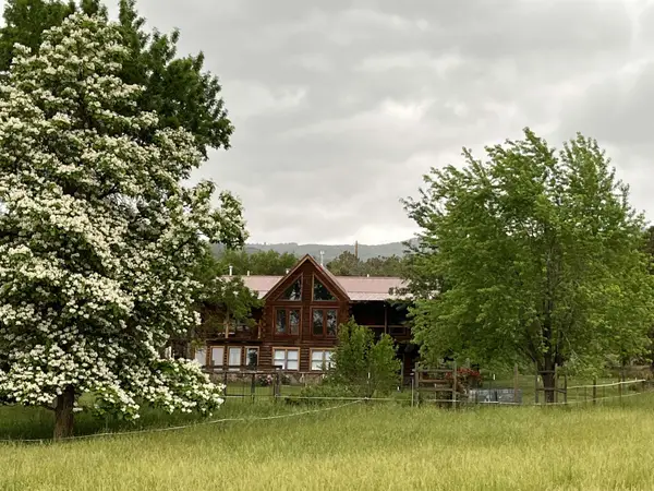19795 High Park Road, Cedaredge, CO 81413