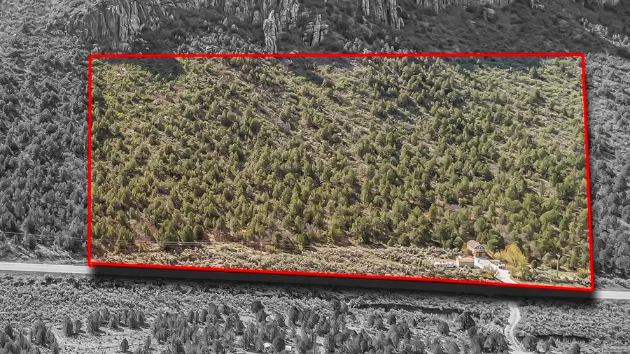 16201 Highway 141, Whitewater, CO 81527 - #2