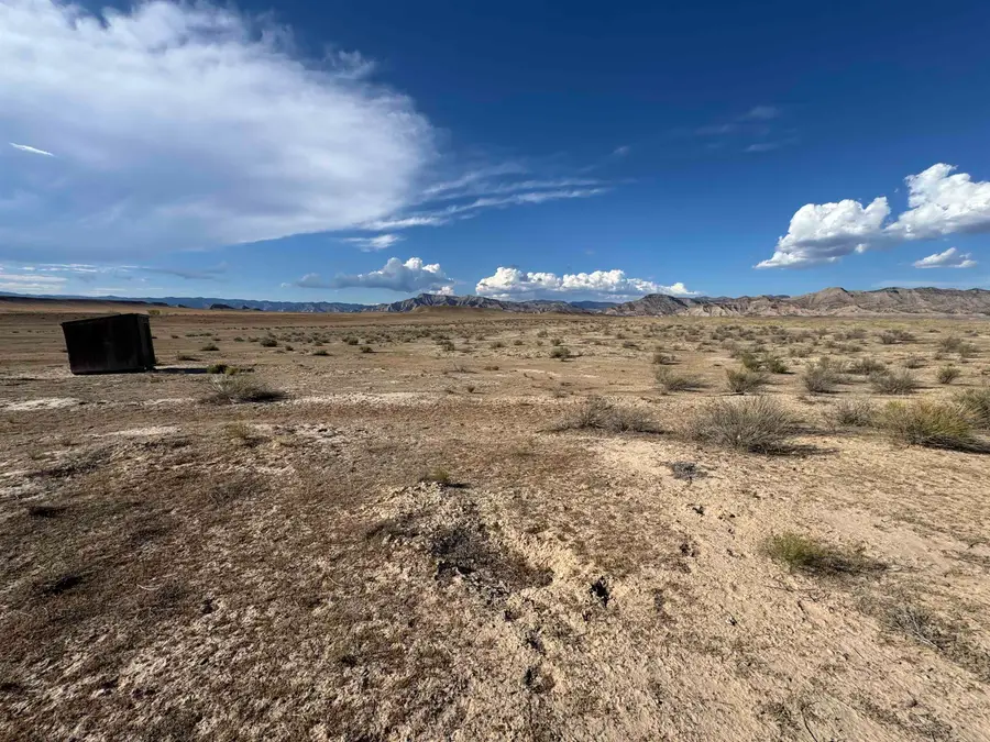 2080 16 Road, Loma, CO 81524 - #3