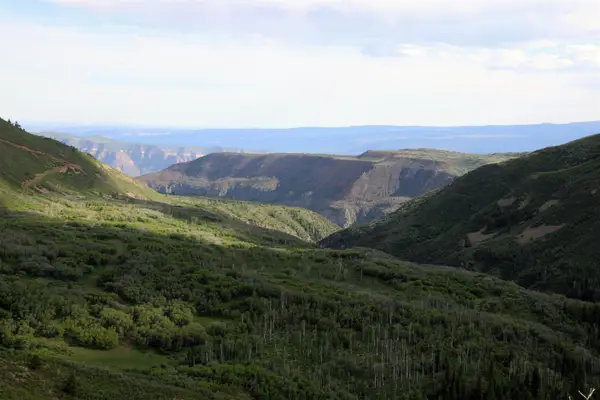TBD Ms Road, Glade Park, CO 81522