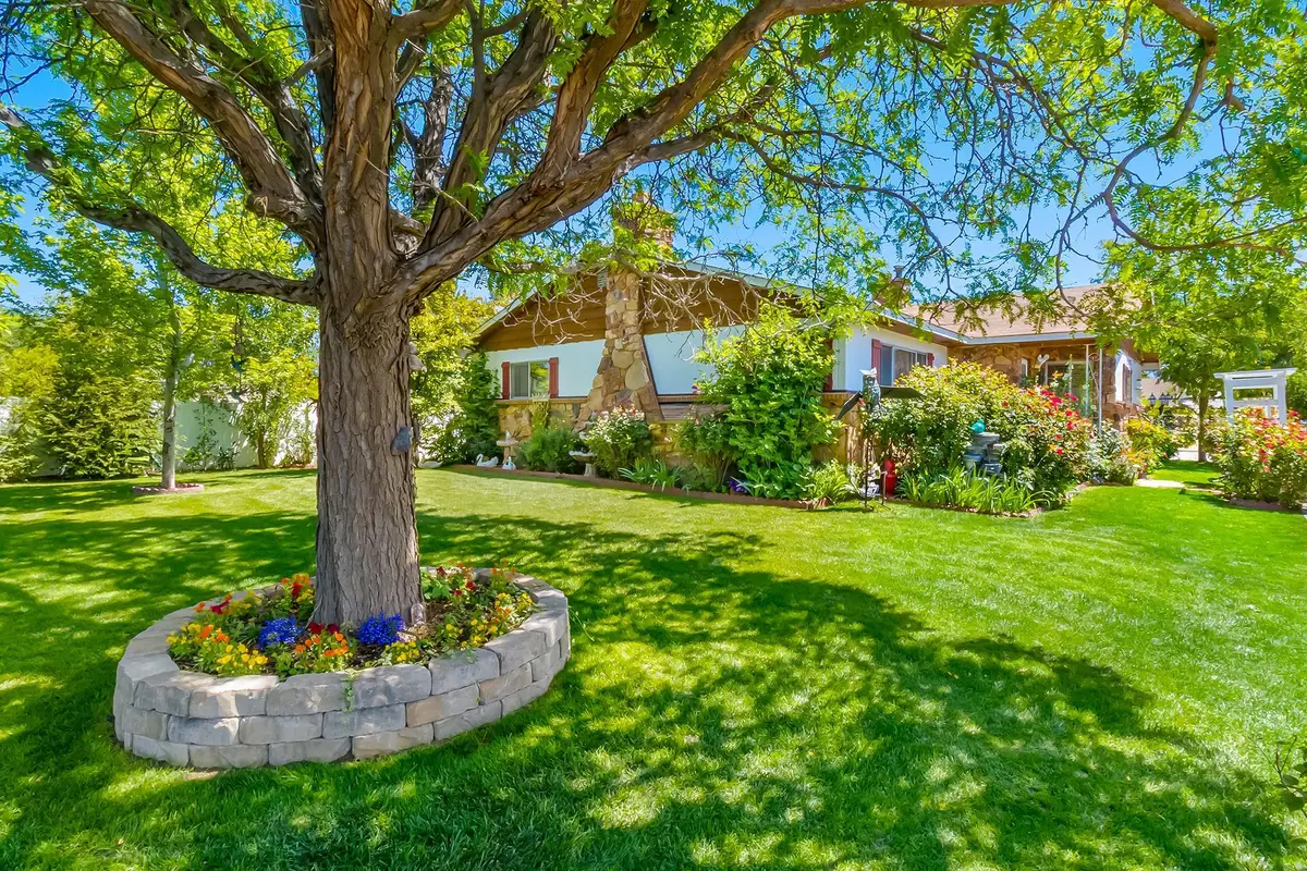 234 28 1/2 Road, Grand Junction, CO 81503 - #1