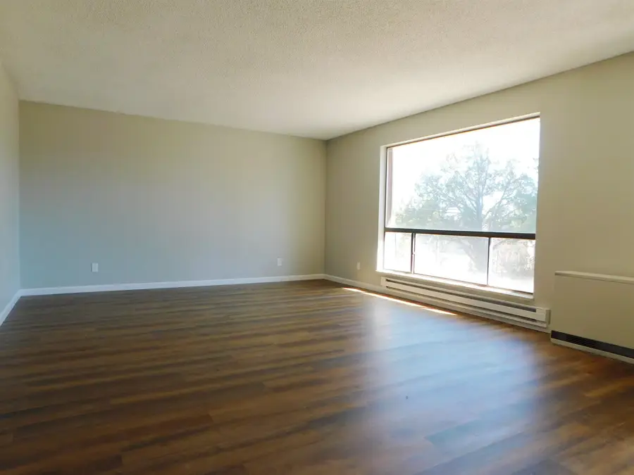 575 NE 4th Street, Cedaredge, CO 81413 - #3