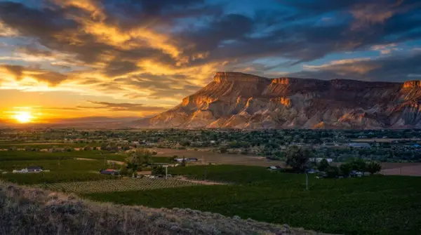 3770 Horse Mountain Road, Palisade, CO 81526
