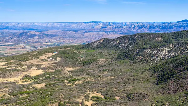 TBD Coon Creek Road, Mesa, CO 81643