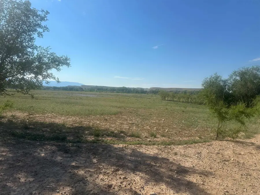 TBD 32 Road, Grand Junction, CO 81503 - #3
