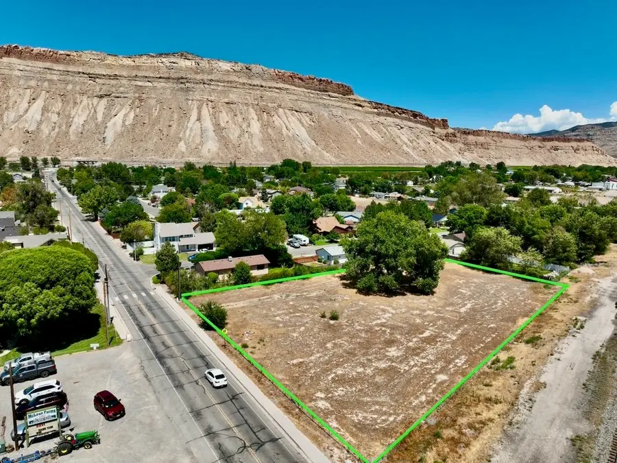 724 Elberta Avenue, Palisade, CO 81526 - #3