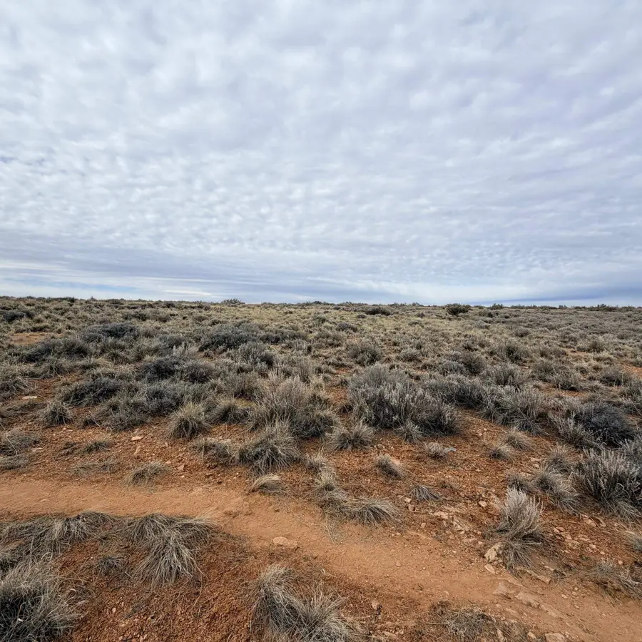 LOT 161 Jenning Nicolette Way, Cortez, CO 81321 - #3