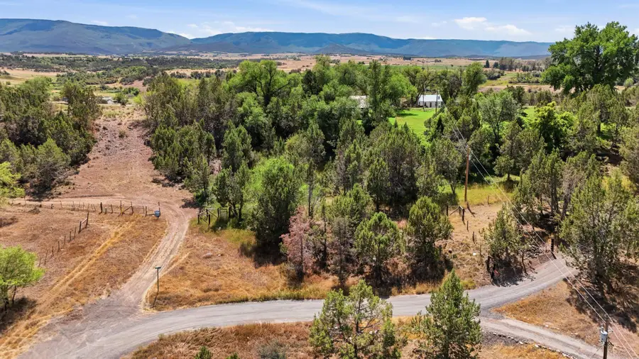 530 Glenarm Avenue, Collbran, CO 81624 - #3