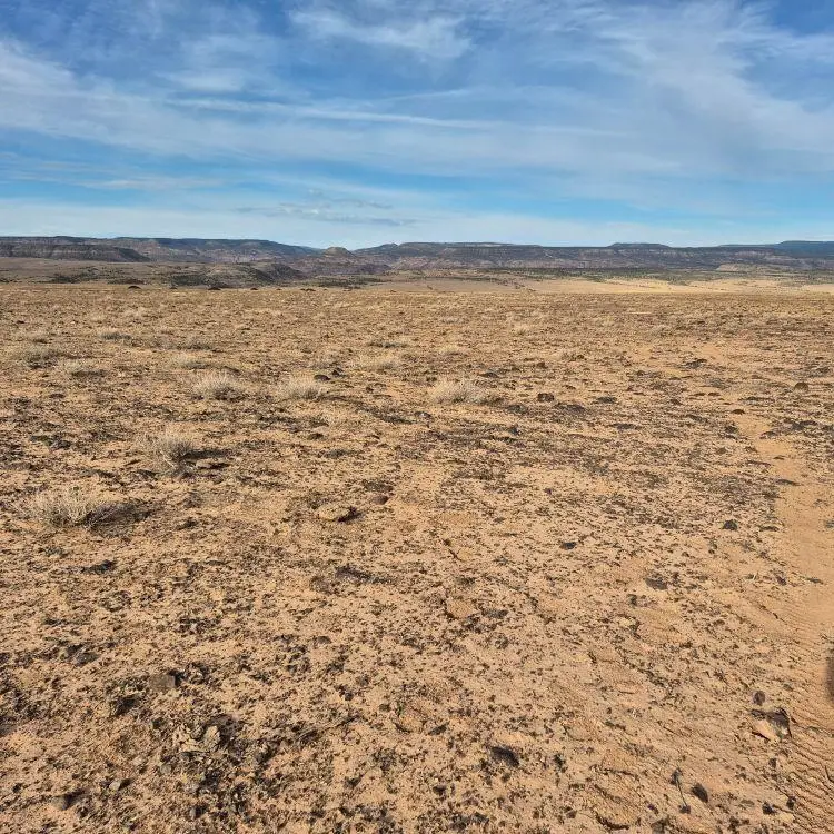 TBD Tbd, Whitewater, CO 81527 - #1