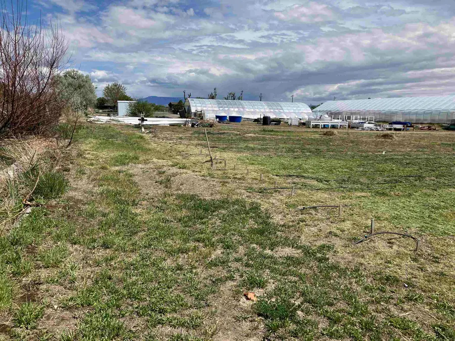 887 23 Road, Grand Junction, CO 81505 - #2