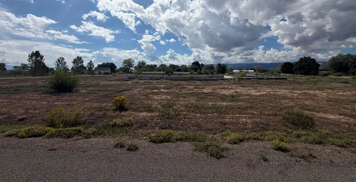 2527 Jouflas Court, Grand Junction, CO 81505 - #1