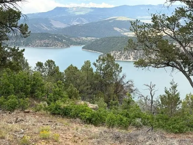 254 Waterview Cove, Ridgway, CO 81432 - #2
